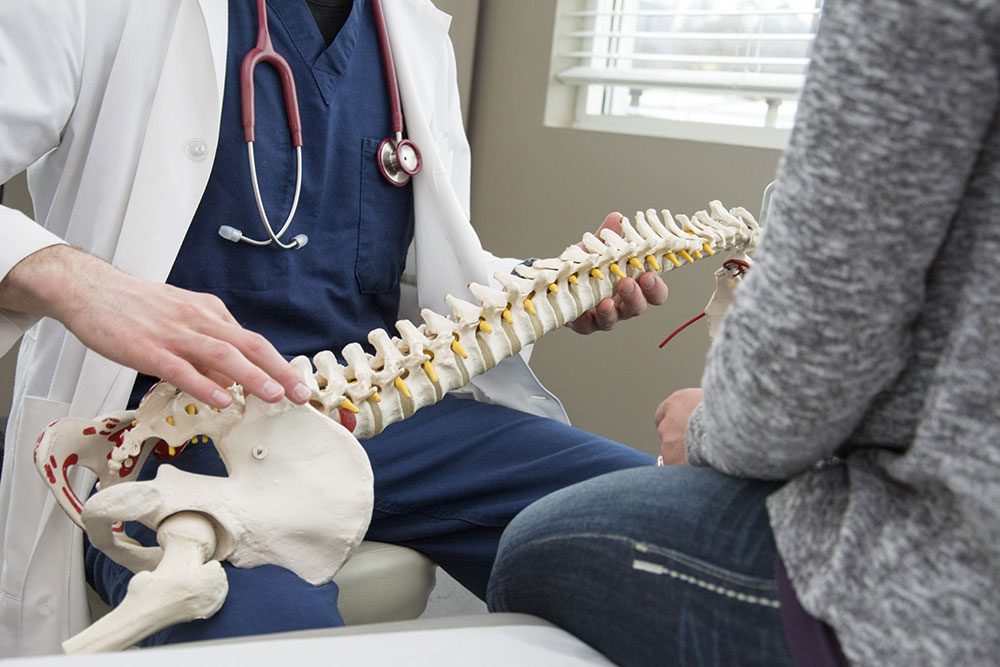 Chiropractic Services, Salisbury, MD